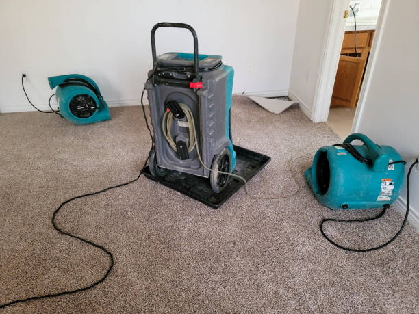 Best Water damage restoration specialists  in North Newton, KS