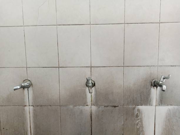 Best Ceiling water damage repair  in North Newton, KS